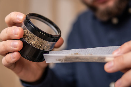 Preparing a joint and drug paraphernalia concept theme with close up man hands rolling a joint with herb girder to grind a cannabis buds in the background