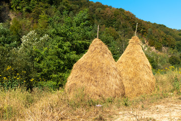 Beautiful mountain landscape with traditional piles of hay on meadow in Romania