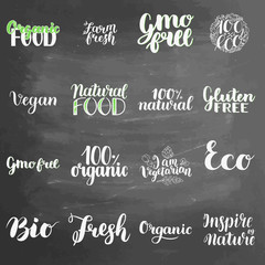 Fototapeta na wymiar Eco concept lettering set on chalkboard background. Blackboard lettering writing handwritten text, illustration. Logo for healthy eat bar, restaurant, shops and printing and digital products