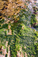 Fototapeta premium abstract rock grunge background texture