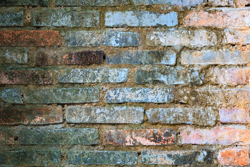 Elevated view of  Colorful Old Brick Wall