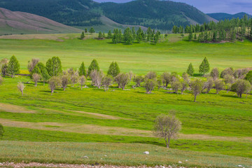 mongolie paysages de la steppe