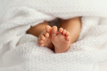 Adorable baby feet covered in a white blanket, maternity and babyhood concept - obrazy, fototapety, plakaty