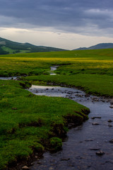 Fototapeta na wymiar mongolie paysages de la steppe