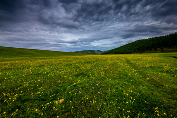 mongolie paysages de la steppe