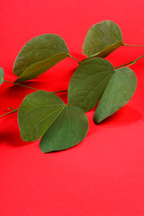 Indian Festival Dussehra, showing golden leaf on red background. Greeting card.