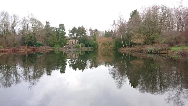 Reflections on pond water with trees in the background