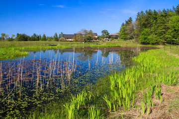 三瓶山の姫逃池