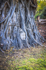 A beautiful view of buddhist temple in Ayutthaya, Thailand.