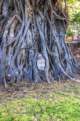 A beautiful view of buddhist temple in Ayutthaya, Thailand.