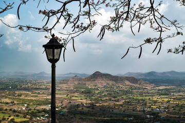 landscape of mountain and trees