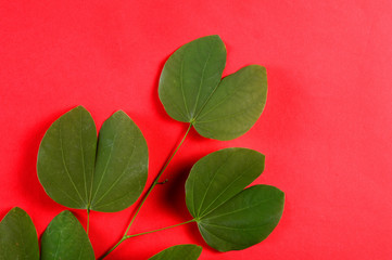 Indian Festival Dussehra, showing golden leaf on red background. Greeting card.