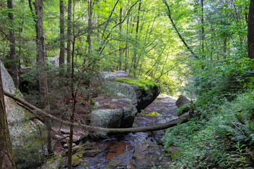 Daniel Creek, Cloudland Canyon State Park, Georgia, USA