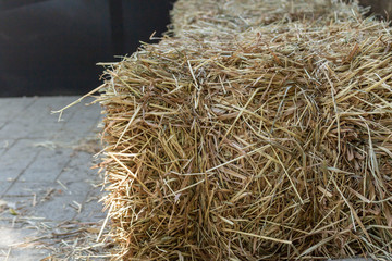 Haystack small in the sun. Lying on the ground