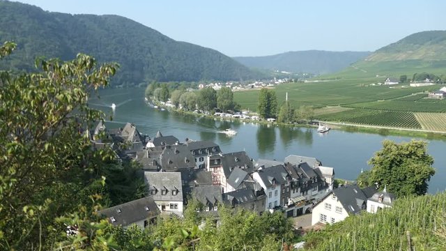 Cityscape of Beilstein at Moselle river valley. Vineyards all around.