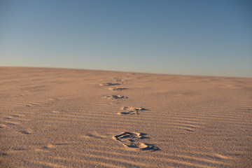 Footprints in desert sand