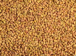 Fenugreek seeds as background. Close up texture