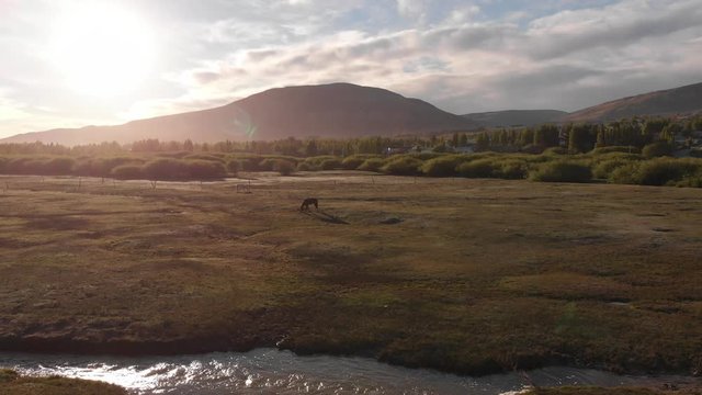 El Calafate - Lake Argentino