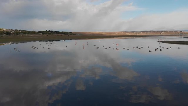 El Calafate - Lake Argentino