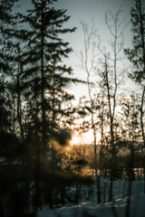 Fototapeta na wymiar Blur forest in winter sunset