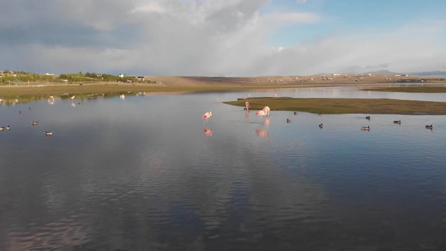 El Calafate - Lake Argentino