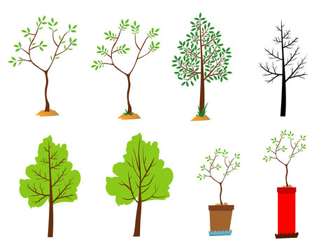 Various shapes of trees