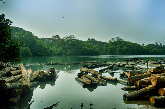 Kallayi river timber trading