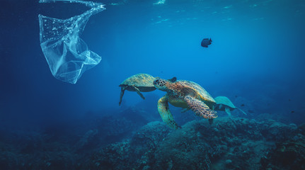 Underwater background animal sea turtles with floating plastic bag in ocean, Water Environmental Pollution Problem