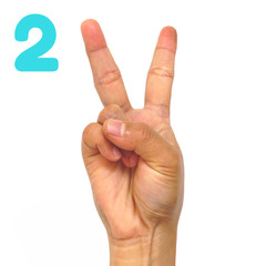 Sign language number 2 for the deaf . Fingerspelling in American Sign Language (ASL). Hand gesture number two on a white background.