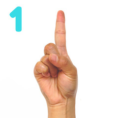 Sign language number 1 for the deaf . Fingerspelling in American Sign Language (ASL). Hand gesture number one on a white background.