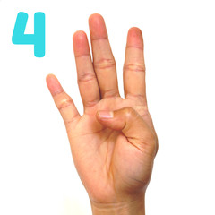 Sign language number 4 for the deaf . Fingerspelling in American Sign Language (ASL). Hand gesture number four on a white background.
