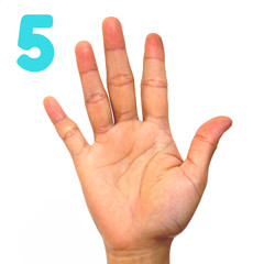 Sign language number 5 for the deaf . Fingerspelling in American Sign Language (ASL). Hand gesture number five on a white background.