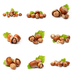 Set of Hazelnut nut many leaves isolated on a white background as a packaging design element