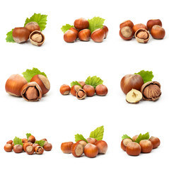 Set of Hazelnut nut many leaves isolated on a white background as a packaging design element