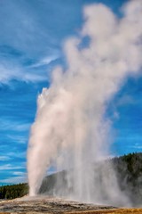 A vertical image of Old Faithful erupting at Yellowstone.