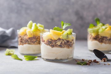 Homemade yogurt parfait with granola, kiwi fruit, pineapple and nuts in a glass for healthy breakfast on concrete background