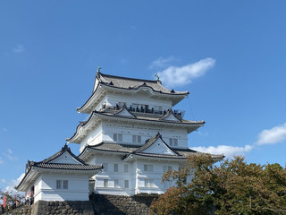 Fototapeta premium Odawara, Japan / Nov.04, 2019: Odawara Castle is a landmark in the city of Odawara in Kanagawa Prefecture