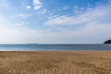 緑のほとんどない砂浜