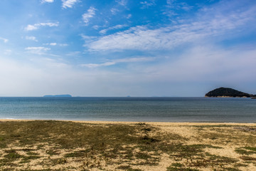 少しみどりのある砂浜