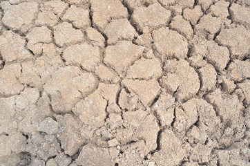 Tierra cuarteada