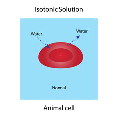 isotonic solution