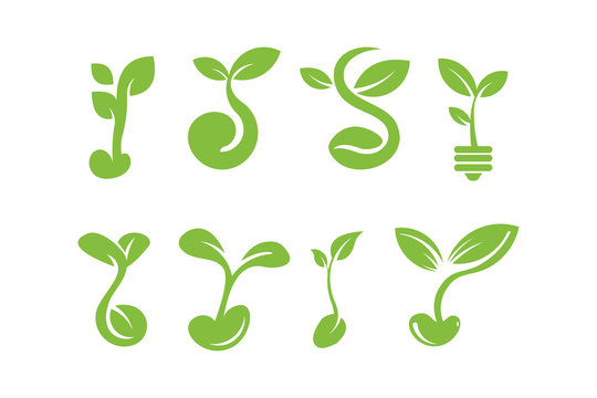 seed logo icon vector set