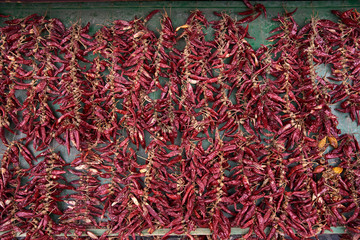 Fototapeta premium red hot chili peppers