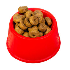 Dry crispy cat food in red plastic bowl. Isolated on white background. Cut-out.