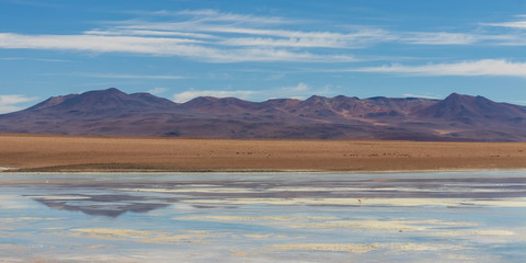 Laguna on the altiplano in Bolivia.