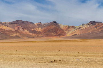 Fototapeta na wymiar Tracks on the altiplano in Bolivia