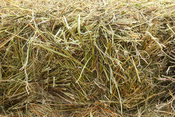 Dry hay as an abstract background