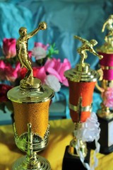 Fototapeta na wymiar Creations: Trophies of the champion