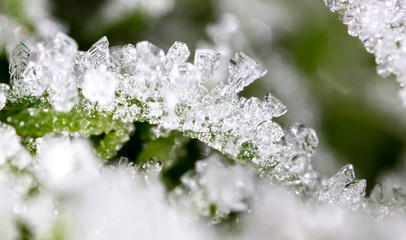 White snowflakes on a green leaf of grass as an abstract background