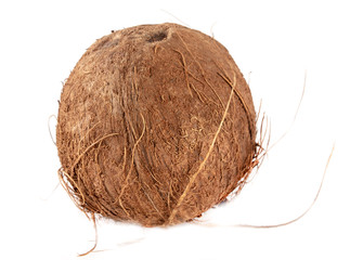 Coconut isolated on a white background